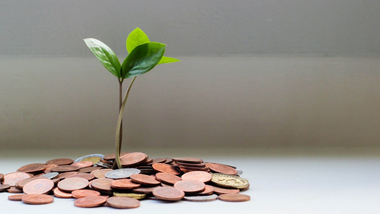 15 Proven Ways to Make Money Online in 2024